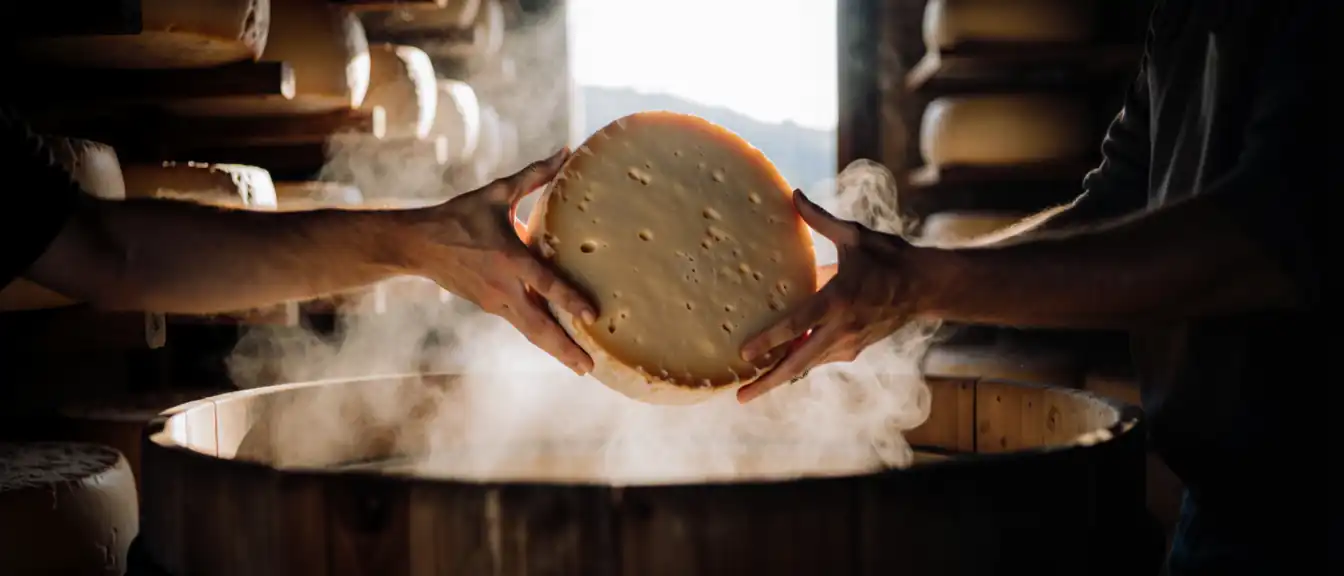 Вкус традиций и драйвер экономики: как семейная сыроварня в Гиагинском районе ставит рекорды производства